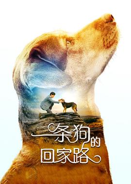 麦兜故事在线观看